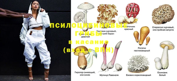 марки nbome Горняк