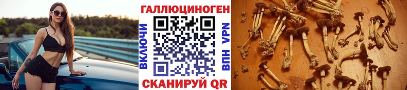 Псилоцибиновые грибы Psilocybine cubensis где купить Баймак